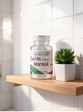 MOROSIL 200 + CACTIN 500
